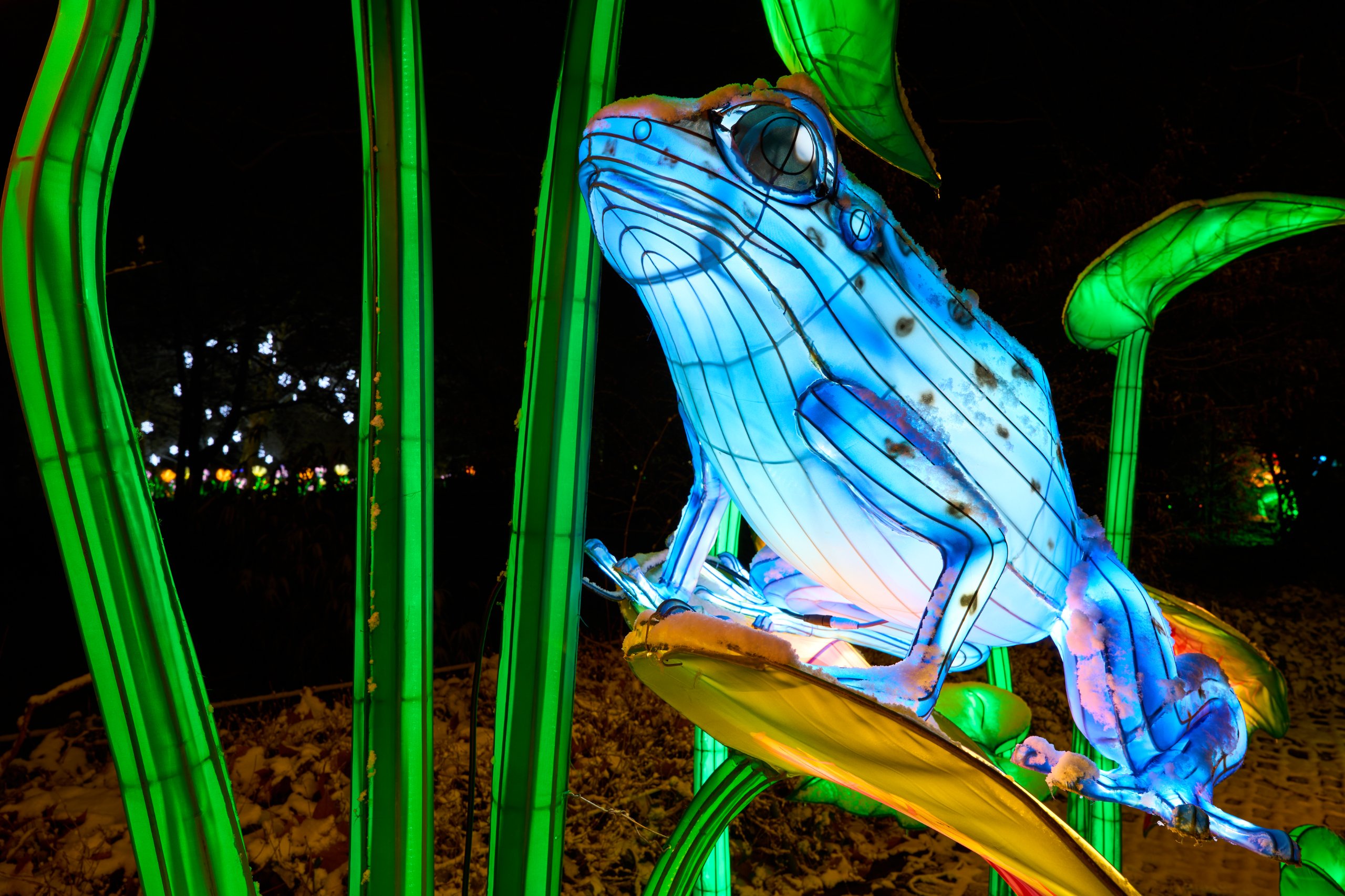 2026 01 05 China Lights 0159